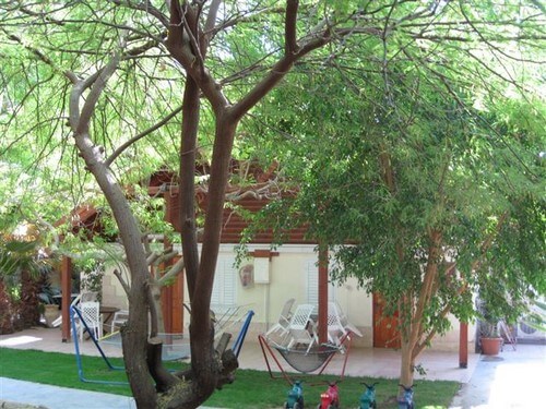 אואזיס גדיש